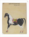 The Stallion Jukaldan Ayragi, c.1730 by Bhavani Das