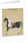 The Stallion Jukaldan Ayragi, c.1730 by Bhavani Das