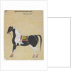 The Stallion Jukaldan Ayragi, c.1730 by Bhavani Das