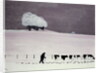 Cows in a snowstorm by Maggie Rowe