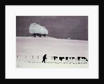 Cows in a snowstorm by Maggie Rowe