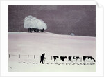 Cows in a snowstorm by Maggie Rowe