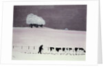 Cows in a snowstorm by Maggie Rowe