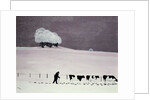 Cows in a snowstorm by Maggie Rowe