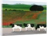 Cows and Poppies by Maggie Rowe