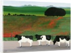 Cows and Poppies by Maggie Rowe