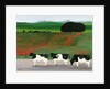 Cows and Poppies by Maggie Rowe