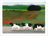 Cows and Poppies by Maggie Rowe