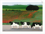 Cows and Poppies by Maggie Rowe