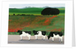 Cows and Poppies by Maggie Rowe