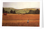 Harvesting in the Cotswolds by Maggie Rowe