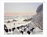 Friesians in Winter by Maggie Rowe