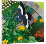 Veggie Garden, 2013 by Maggie Rowe