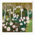 White Garden, 2013 by Maggie Rowe