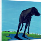 Joe's Black Dog, 2000 by Marjorie Weiss