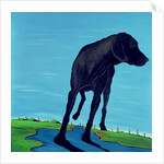 Joe's Black Dog, 2000 by Marjorie Weiss