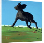 Amazing Black Dog, 2000 by Marjorie Weiss