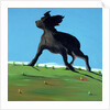 Amazing Black Dog, 2000 by Marjorie Weiss