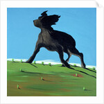 Amazing Black Dog, 2000 by Marjorie Weiss