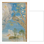 Peacock, detail of 3496206 by Italian School