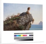 Young girl on a rock in Sorrento, 19th century by Filippo Palizzi