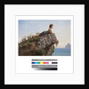 Young girl on a rock in Sorrento, 19th century by Filippo Palizzi