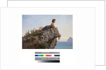 Young girl on a rock in Sorrento, 19th century by Filippo Palizzi