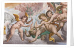 Putti by Giovanni Mauro della Rovere