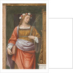 Saint Rose by Bernardino Luini