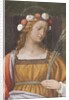Saint Rose by Bernardino Luini