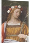 Saint Rose by Bernardino Luini