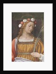 Saint Rose by Bernardino Luini