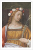 Saint Rose by Bernardino Luini