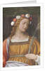 Saint Rose by Bernardino Luini