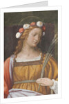 Saint Rose by Bernardino Luini