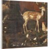 Animals, Myth of Orpheus, detail by Italian School