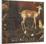 Animals, Myth of Orpheus, detail by Italian School