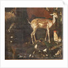 Animals, Myth of Orpheus, detail by Italian School