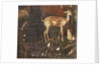 Animals, Myth of Orpheus, detail by Italian School