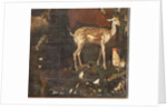 Animals, Myth of Orpheus, detail by Italian School