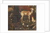 Animals, Myth of Orpheus, detail by Italian School
