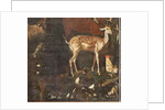 Animals, Myth of Orpheus, detail by Italian School