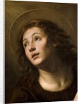Saint John the Evangelist by Giuseppe Vermiglio