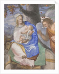 Scenes from the Virgin Mary's life by Michelangelo Carminati