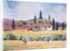 Road to Siena, 1999 by Margo Starkey