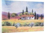 Road to Siena, 1999 by Margo Starkey