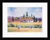 Road to Siena, 1999 by Margo Starkey