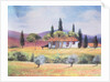Road to Siena, 1999 by Margo Starkey
