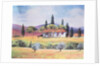 Road to Siena, 1999 by Margo Starkey