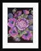 Anemones and thistles, 1998 by Margo Starkey